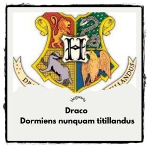 draco dormiens nunquam titillandus