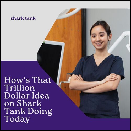 How's That Trillion Dollar Idea on Shark Tank Doing Today