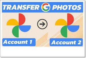 transfer Google Photos to another account