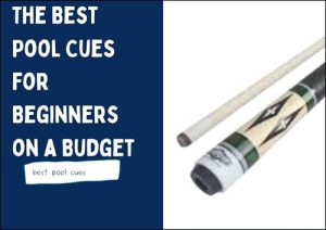 best pool cues 2021