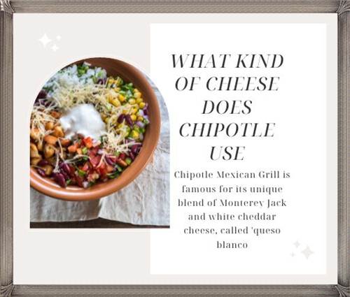 What Kind of Cheese Does Chipotle Use Get the Facts Here!